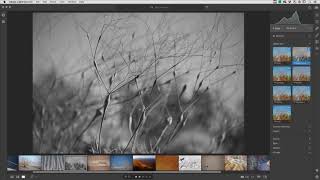 The Power of Profiles in Lightroom CC | Adobe Lightroom