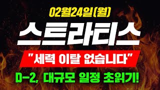 [긴급속보] 02월24일(월) 스트라티스 \