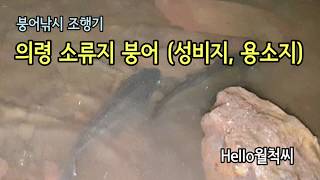 의령 소류지 붕어낚시 조행기 - Hello월척씨