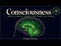 Consciousness — A Brain Seen from the Inside