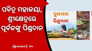 ପବିତ୍ର ମହାଳୟା, ଶ୍ରୀକ୍ଷେତ୍ରରେ ପୂର୍ବଜଙ୍କୁ ପିଣ୍ଡଦାନ |People offering tarpan or shraddha