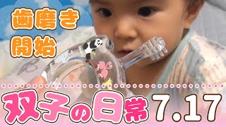 【歯磨き】双子の赤ちゃんの成長に毎日密着７月１７日【生後１１ヵ月】