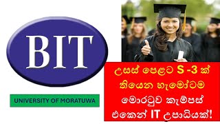 University of Moratuwa BIT Degree 2024/2025 Intake | How to Apply & Eligibility Requirements