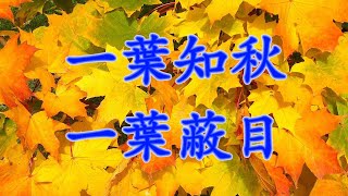 [細説人生] (粵語，中文字幕) –「一葉知秋」與「一葉蔽目」。在一些傳統故事中，經常聽到用測字、看手相、面相等方式給人算命的情節，而且算的還很準。為何算的這麼準，我們就通過兩個成語來聊一聊是怎麼回事