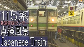 【新潟車両センターに潜入】115系車両点検風景(新潟市)　ニイガタ映像美　Japanese train