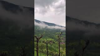 എത്ര മനോഹരമാണ് ഇവിടം #shorts #munnar #moutainlife