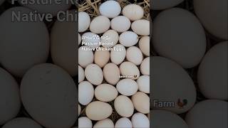 Pasture Raised Natukodi Chicken Eggs