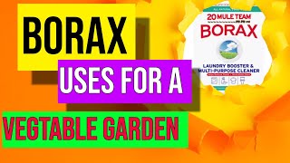 Borax Uses For Vegetable Gardening