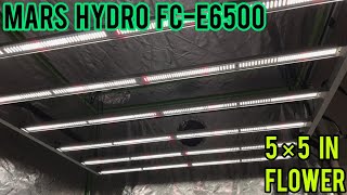 MARS HYDRO FC-E6500,UNBOXING, REVIEW