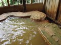 入之波温泉元湯 山鳩湯（女湯）　奈良県