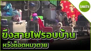 ร้องตำรวจตรวจบ้านล้อมสายไฟช็อตหมาตาย | 30-04-62 | ข่าวเที่ยงไทยรัฐ