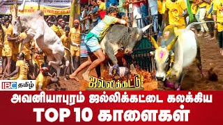 Top 10 Bulls of Avaniyapuram Jallikattu | அவனியாபுரம் ஜல்லிக்கட்டை கலக்கிய TOP 10 காளைகள் |IBC Tamil