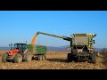 claas lexion 660 slnečnica u0026 kukurica sunflower u0026 corn slonecznik i kukurydza