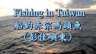 #船釣/赤宗馬頭魚/fishing in Taiwan/吃餌總在接近下課時