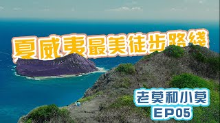 这是夏威夷最漂亮的徒步路线? Kamehame Ridge Hike