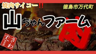 大満足の焼肉　山ちゃんファームさん　徳島市万代町