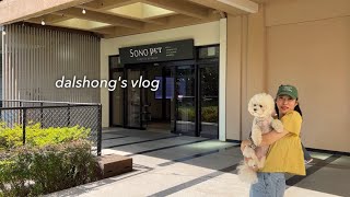 달숑이와 함께하는 vlog | 소노펫 | 반려견 동반여행 | 애견동반 리조트 | 강아지와 여행 브이로그