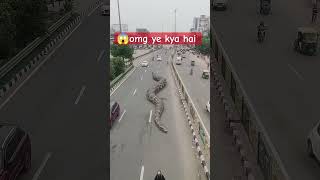 Sadak par saap 😱😱 #snake #anaconda #cobra #ytshorts #shorts #viralvideo