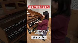 【昔のピアノ？】チェンバロとフォルテピアノの音色を比較してみた！ #ピアノ #piano