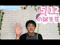 5 12の誕生花と花言葉【園芸のぶチャンネル】【５月】【１２日】【ガーデニング】【雑学】【トリビア】【アリウムギガンチウム】