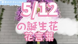 5/12の誕生花と花言葉【園芸のぶチャンネル】【５月】【１２日】【ガーデニング】【雑学】【トリビア】【アリウムギガンチウム】