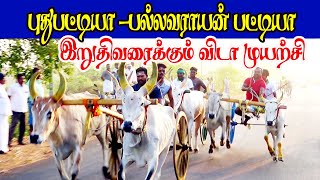 புதுக்கோட்டை மாவட்டம் ,k .புதுப்பட்டி  மாட்டு வண்டி பந்தயம் பெரியமாடு  26//02//2021