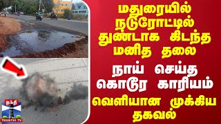 மதுரையில் நடுரோட்டில் துண்டாக கிடந்த மனித தலை.. நாய் செய்த கொடூர காரியம் - வெளியான முக்கிய தகவல்