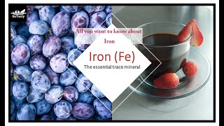 Iron (Fe) | the Essential Trace Mineral Needed by You | All You Want to Know about Iron