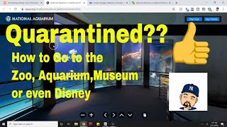 Quarantined??? See how you can still take the family to the Zoo, Aquarium, the Museum or even Disney