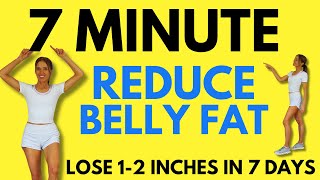 7 Minute Belly Fat Workout -  7 Day Challenge - Start Today