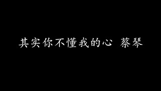 其实你不懂我的心 蔡琴  (歌词版)