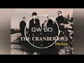 The Cranberries 🎧 Dreams 🔊8D AUDIO🔊 Use Headphones 8D Music Song