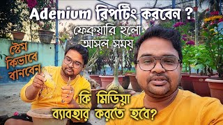 Adenium এর প্রস্তুতি পর্ব,কি ভাবে তৈরী করবেন,কি ভাবে রিপোর্টিং করবেন।  #gardeningflowers #adenium