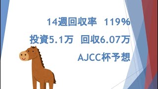 回収率100%超え　AJCC 予想