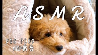 【ASMR】のいがASMRに初挑戦!!いい音で食べてます♬【咀嚼音】