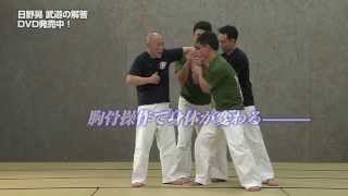 日野晃 武道の解答 DVD  HINO AKIRA Sence and body operating method of BUDO