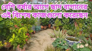 ভরা বর্ষার আগে ছাদবাগান সুন্দর করতে ১০টি বিশেষ পদক্ষেপ/10 important garden work before heavy monsoon