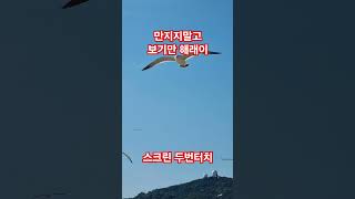 만지지말고 보기만 해래이 #웃낄