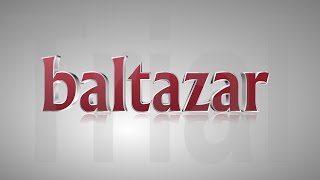 BALTAZAR mladenovac  amsterdam      INFO:0638081119