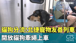 貓狗分流！北捷寵物友善列車　開放貓狗牽繩上車｜華視新聞 20240331