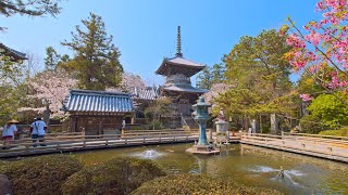 8K HDR 徳島 霊山寺 四国遍路 1番札所  Tokushima, Ryozenji, Shikoku88 Pilgrimage No.1