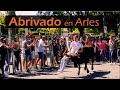 Abrivado de taureaux en Arles - Bull race in Camargue