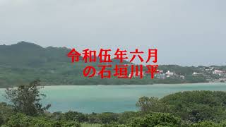 【石垣島の蝶】令和伍年六月の石垣川平（沖縄県）