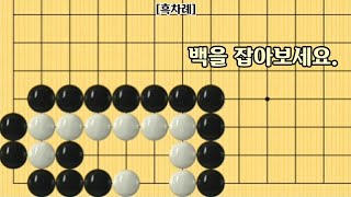 [오늘의 문제]2022-6-17 / 백을 잡아보세요.