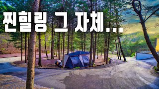 숲속에서의 찐힐링!! 횡성 힐링스토리캠핑장 | 이가본때 | Camping