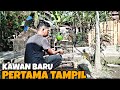 RAWATAN SEMUA JENIS BURUNG MAKAN BUAH SAMPAI BISA JINAK TOLAL | BURUNG JINAK