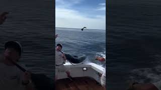 Man Almost gets Impaled by HUGE Swordfish… 😳 #fishing #nature #lucky