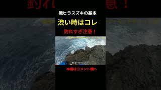 ガケの先は無限に魚が釣れた　　　　 #磯釣り #ヒラスズキ #シーバス