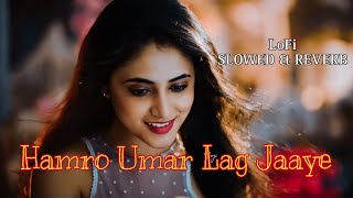 LOFI Song - Humro Umar Lag Jaye | Pawan Singh | Garima Parihar | Slowed \u0026 Reverb | Love Song 2023