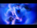 Maison Ware - Long Distance (feat. Xavier Dunn)
